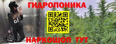 ешки Краснознаменск